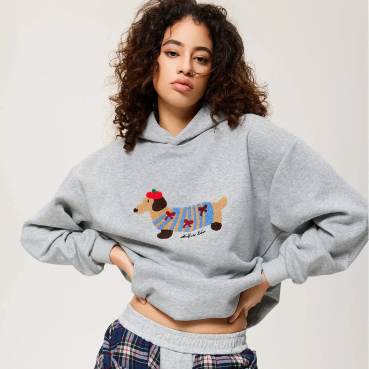 Oversized Hoodie Unisex Dachshund Embroidery Casual Chic Comfortable Fashion 1