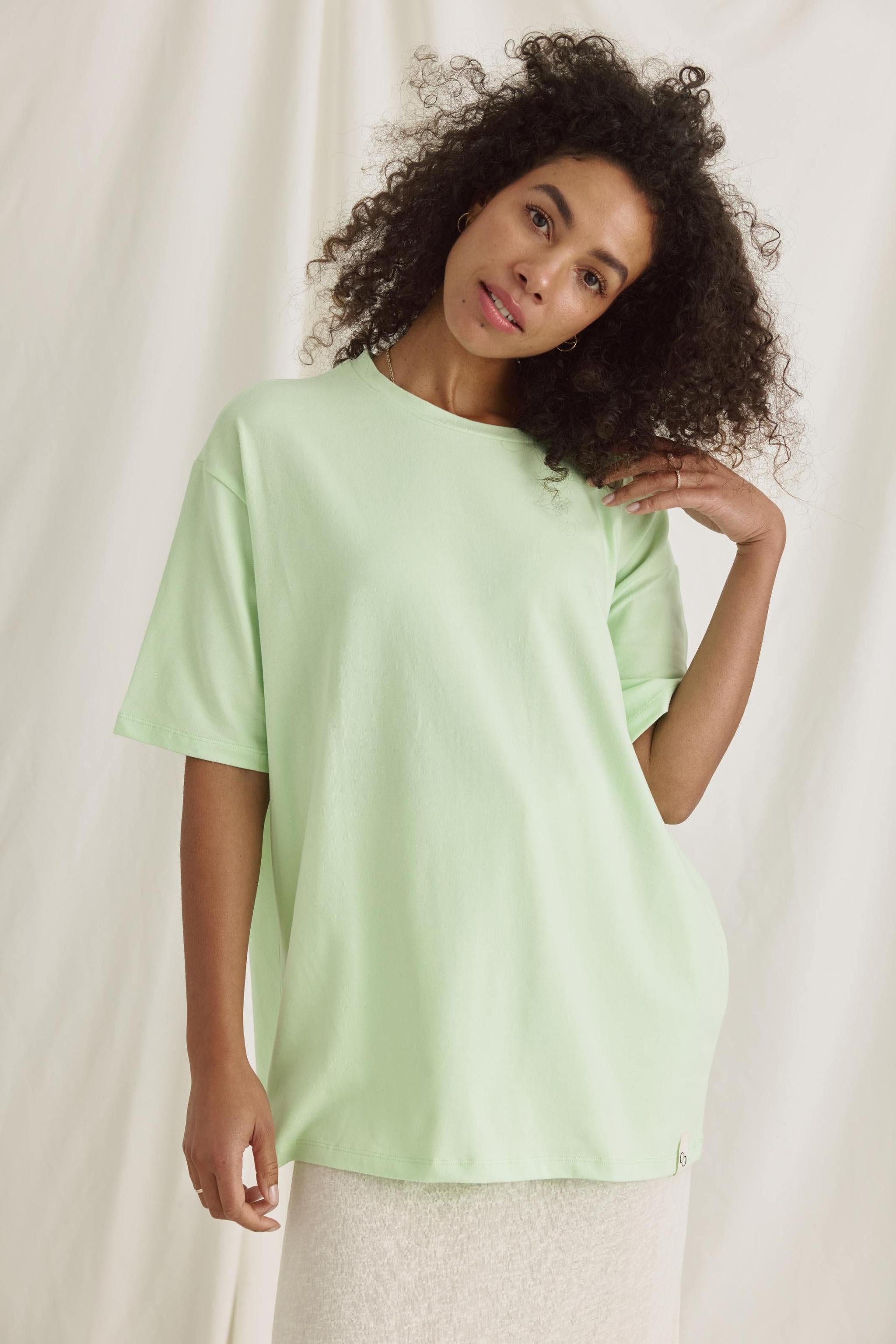 Oversized Women's Tee - Soft Heavyweight Cotton Drop Shoulder T-Shirt in Neutral Tones 2