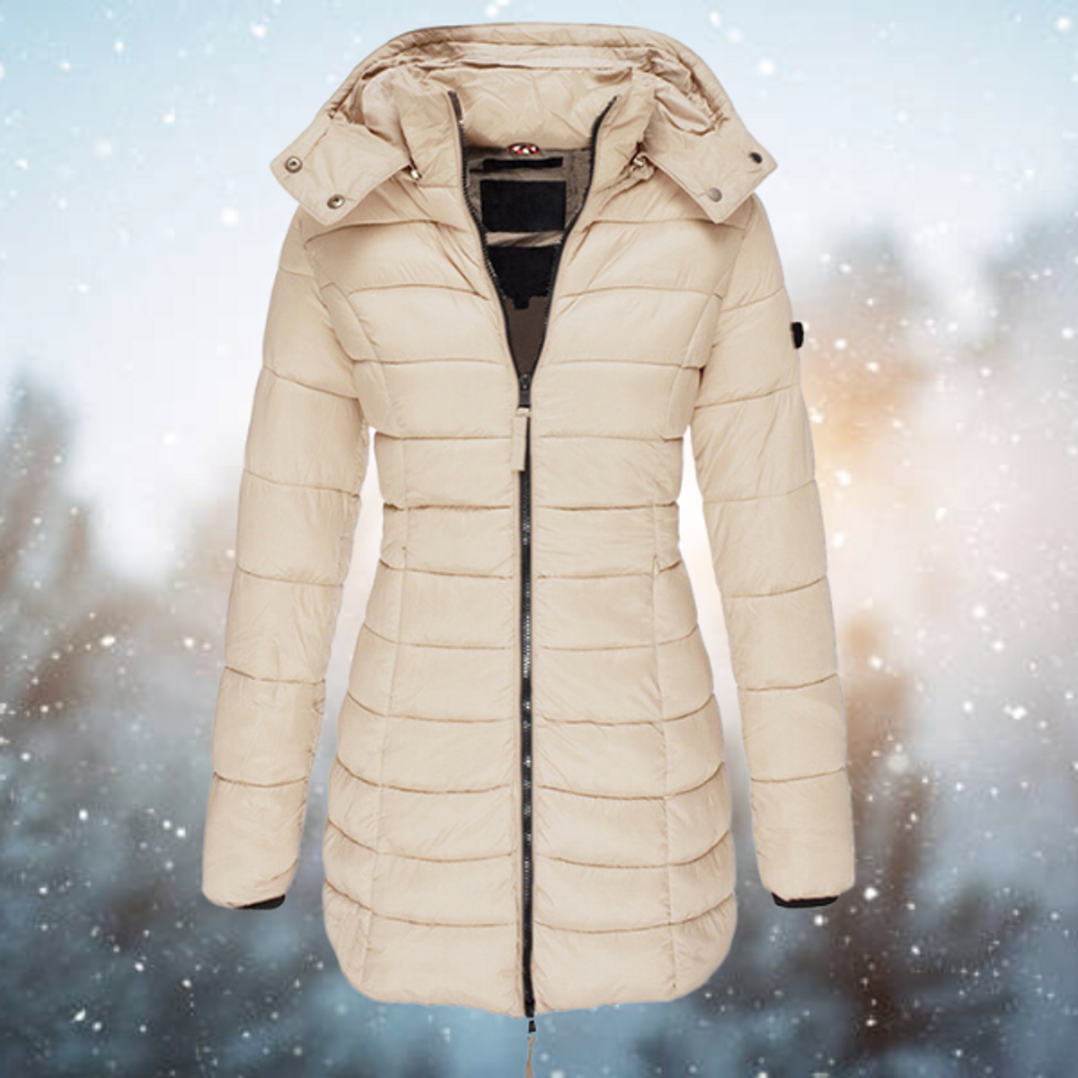 Women's Black Puffer Jacket with Hood Full-Length Zip Winter Essential 3
